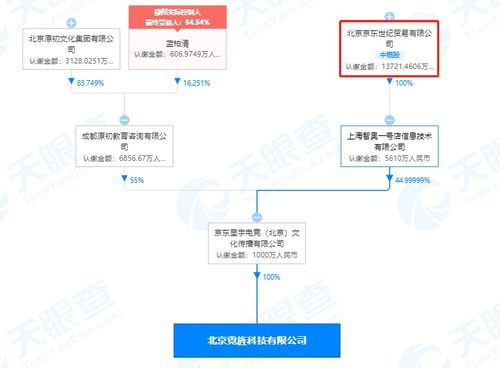 京東關聯電競公司全資收購北京霓旌科技，強化電競生態布局